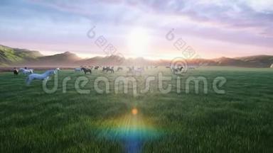 一群年轻的马在美丽的夏日早晨，在一片风景如画的绿色草地上放牧，金色的光线照亮了它